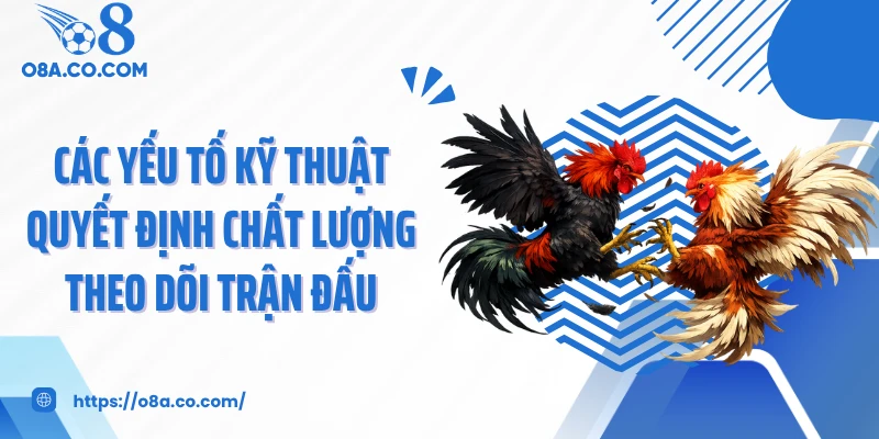 Các yếu tố kỹ thuật quyết định chất lượng theo dõi trận đấu