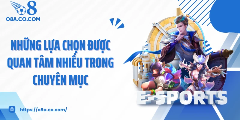 Những lựa chọn được quan tâm nhiều trong chuyên mục